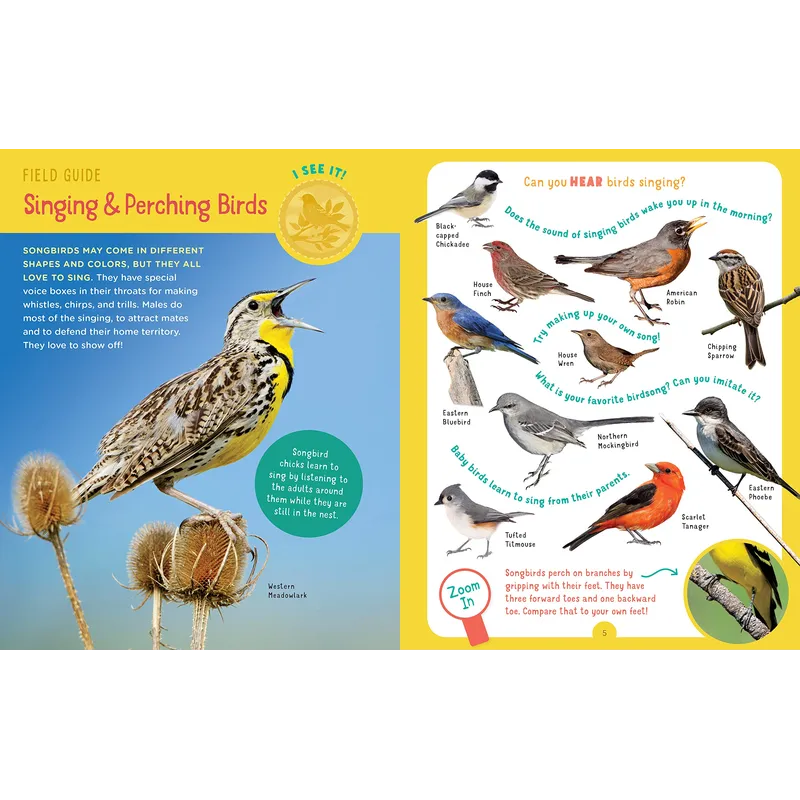 Backpack Explorer: Bird Watch: What Will You Find?