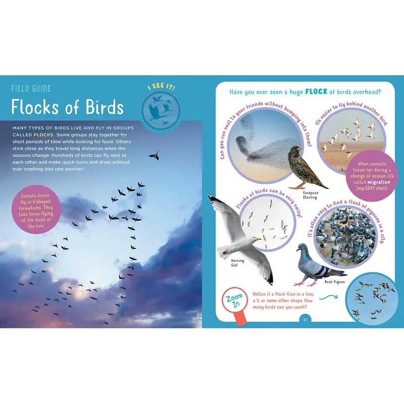Backpack Explorer: Bird Watch: What Will You Find?