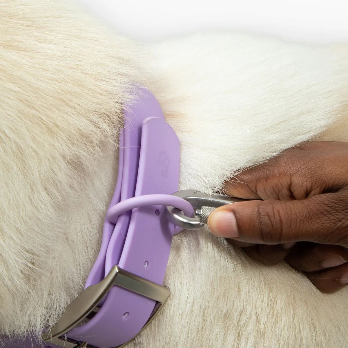 Lilac Waterproof PVC Collar