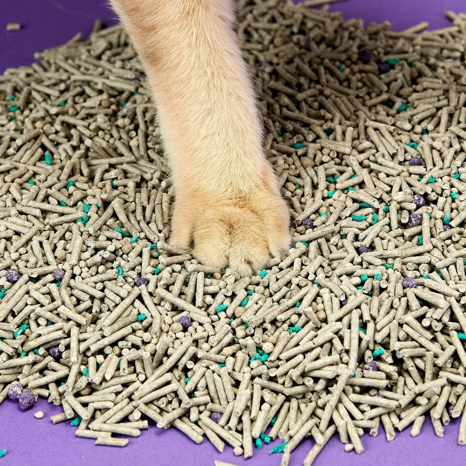 PETKIT 5-in-1 Biodegradable & Flushable Active Carbon Mixed Tofu Cat Litter 56L