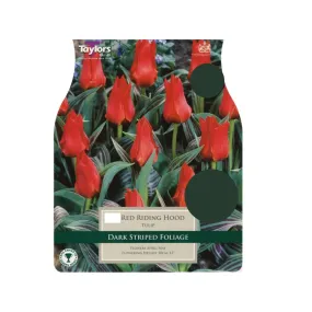 Taylors 17 Red Riding Hood Tulip Bulbs Gift Bag
