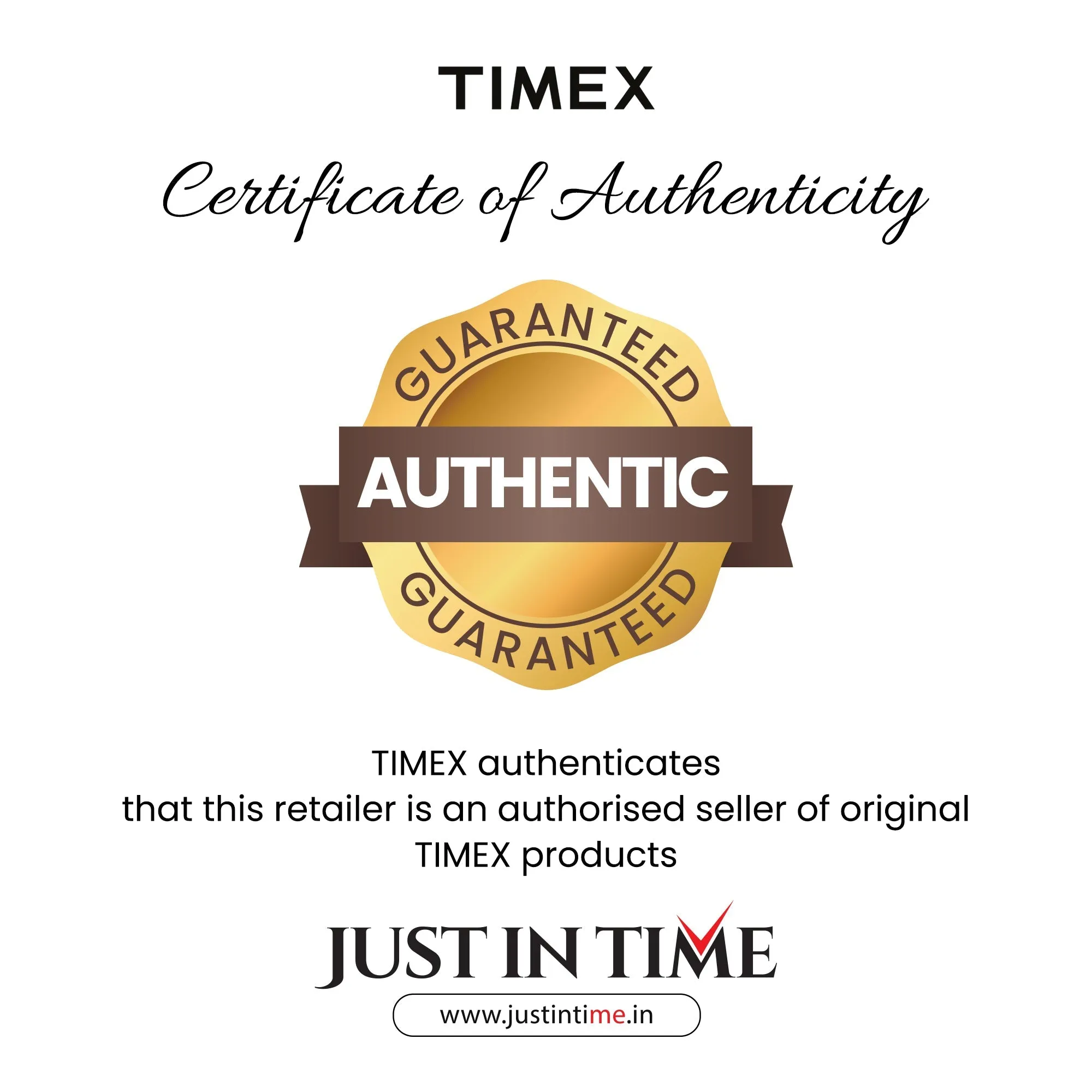 Women Gold Analog Stainless Steel Watch TW0TL9501